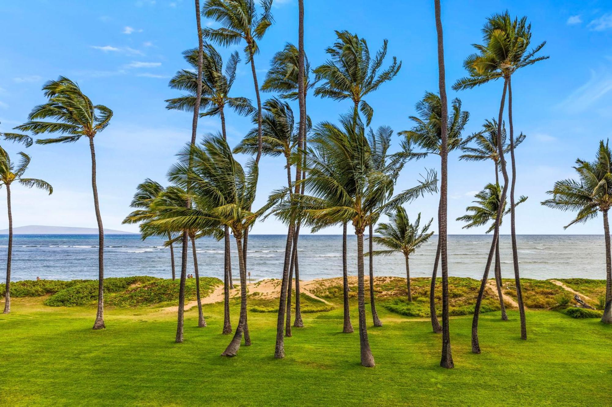 Ferienwohnung Hale Kai O'Kihei 317 Exterior foto